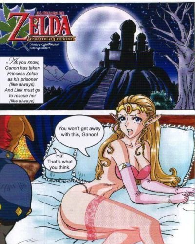 Zelda- The Wild Fucker