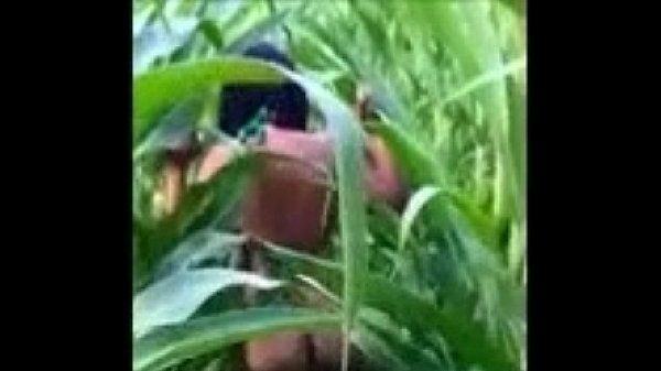 Pinay fucked in the corn field
