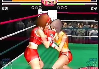 Female Boxing Game