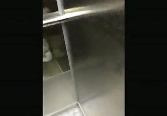 青少年 很烂 公鸡 在 一个 电梯
