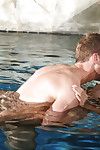 妖娆的 青少年 查理酒店 门罗 已 一个 充满激情 性爱 在 的 泳池边