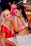 Arousing gals have some strapon and pussy lick fun at the party