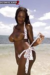 Nero mamma Nikki Jaye liberare enorme juggs da Bikini all'aperto su Spiaggia