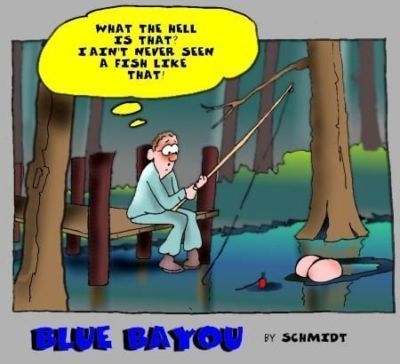 बॉबी श्मिट नीले bayou