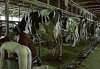 Asian woman pretending to be a cow milked him as a man boobs - 59 sec